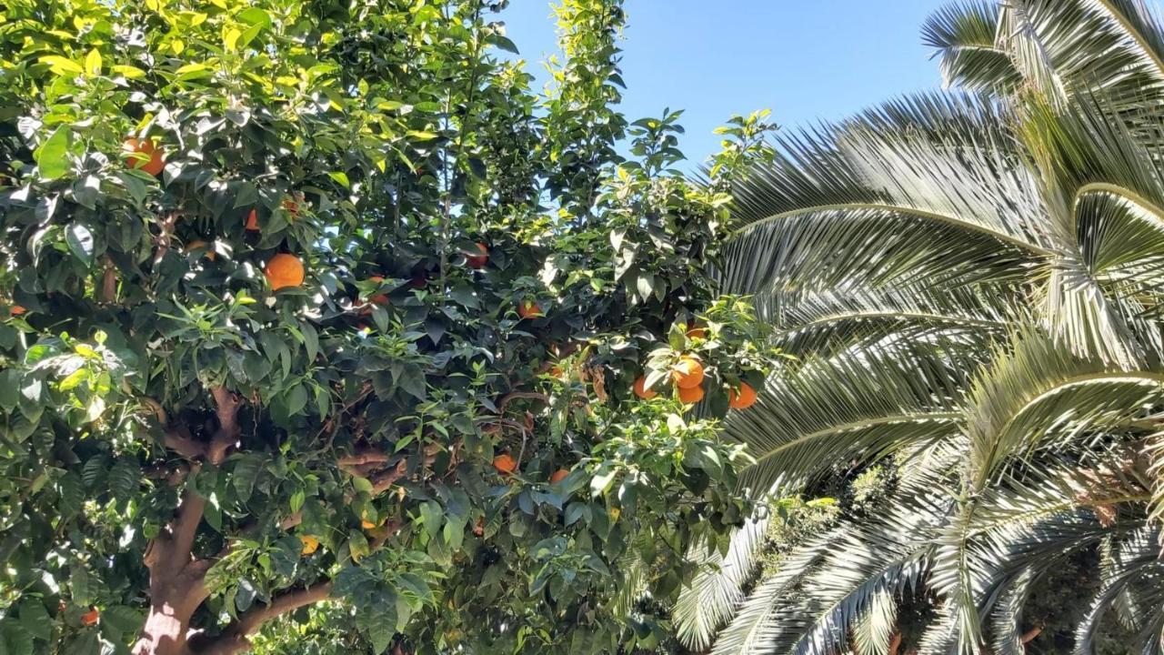 Del Parque Flats Urban Relax Lägenhet Málaga Exteriör bild